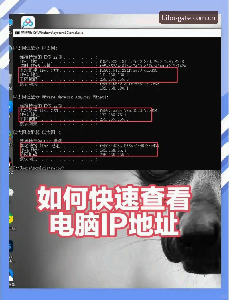 必博登录网址找不到了？如何快速找到bibo必博官方安全登录入口？